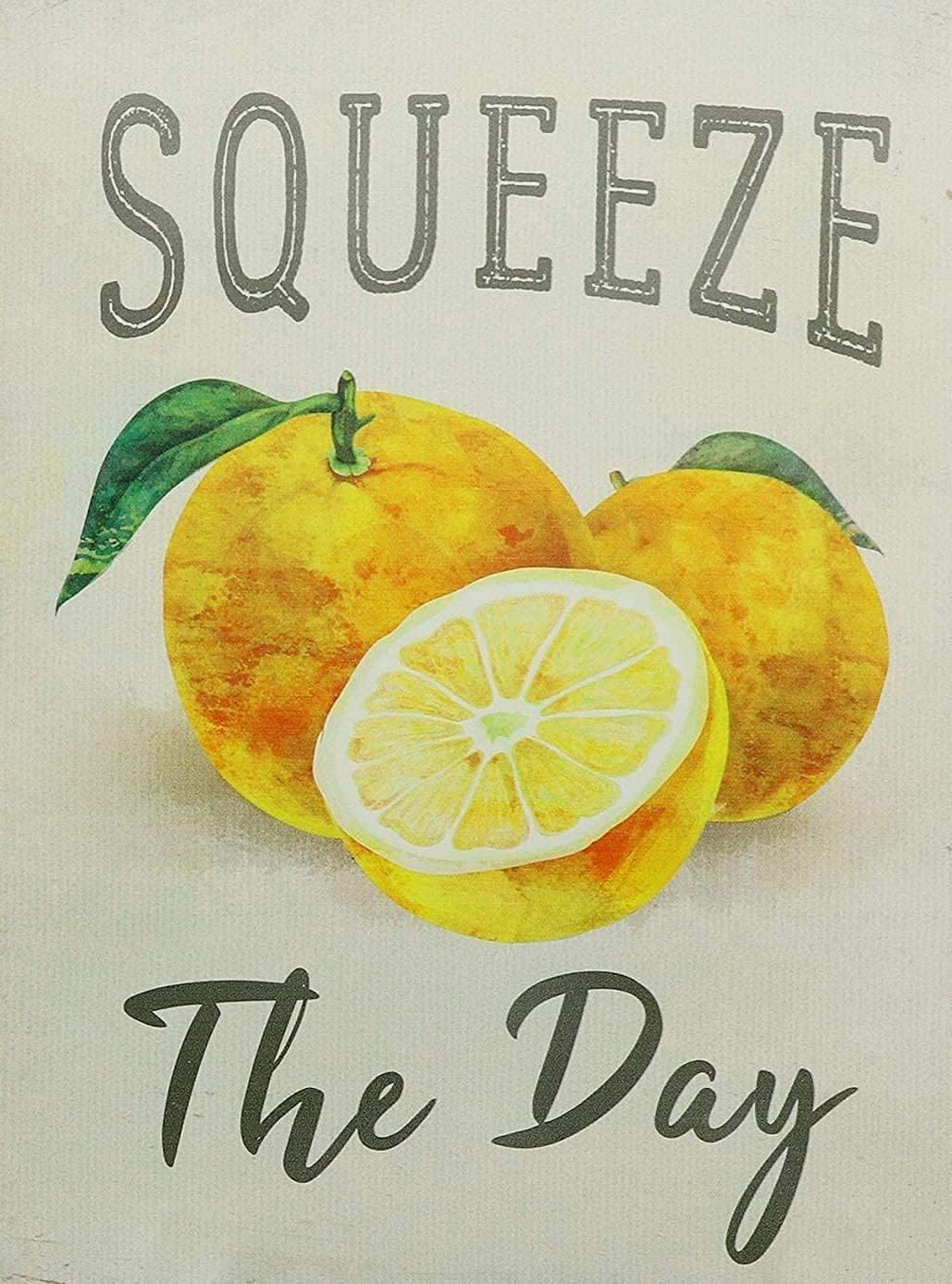 Home Decor Shop - Starotore Squeeze The Day Plaque Métallique