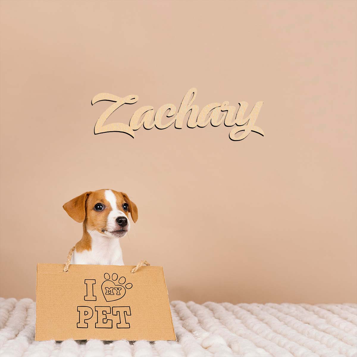 Zachary – Plaque en bois avec  - Home Decor Examples avis et prix